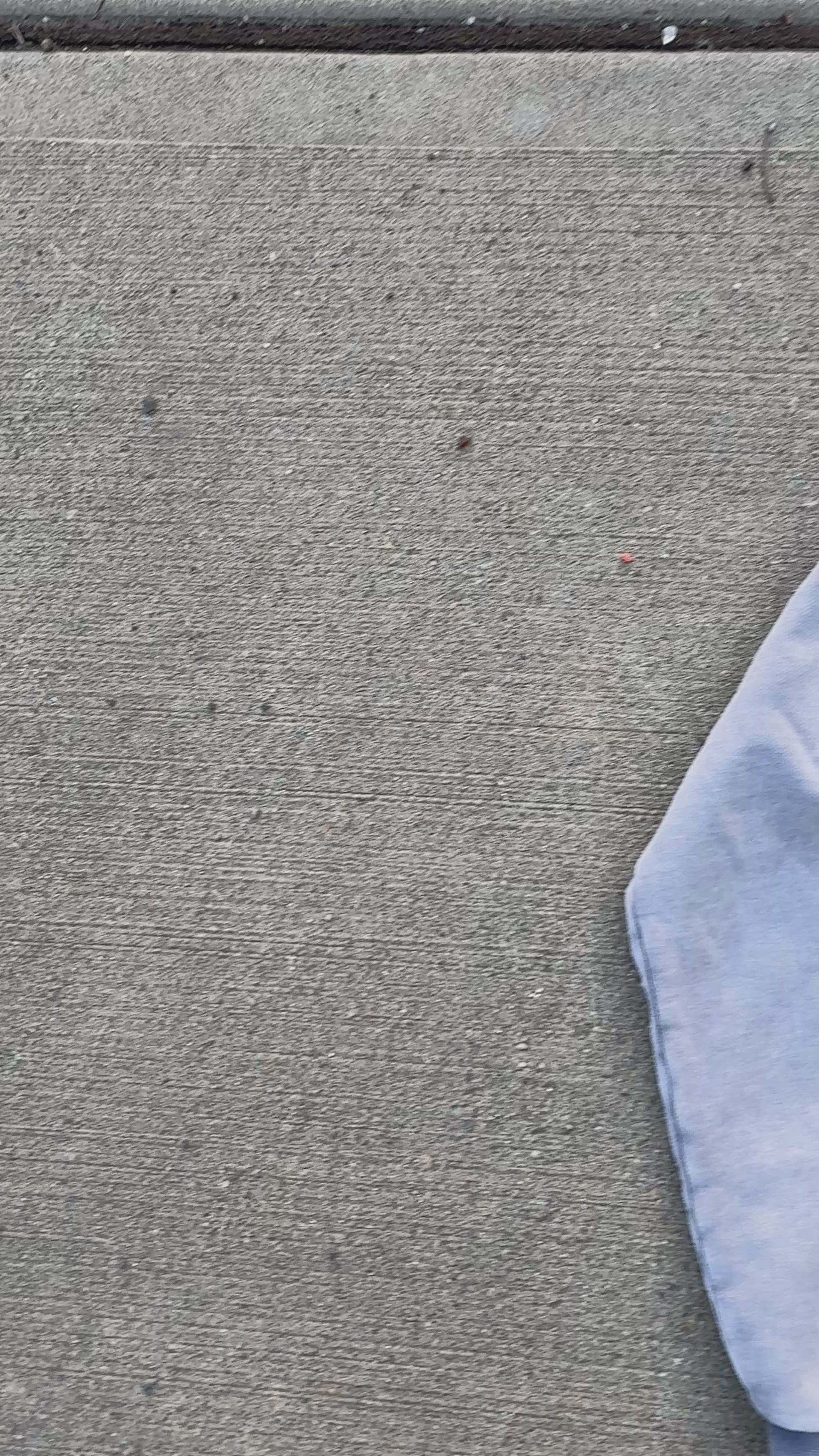 Fallen Titan Hoodie